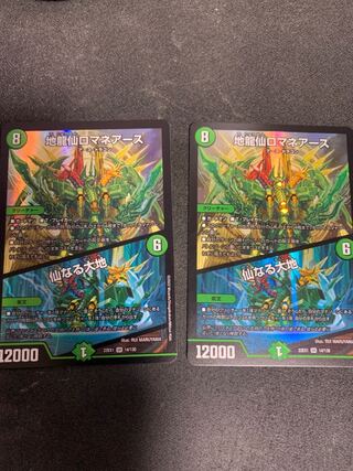 Earth Dragon Sen Romanee Earth｜Senaru Daichi, set of 2