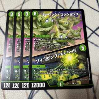 キャベッジ・セッションズ｜ソイルピンプ・キャベッジ R 52/130