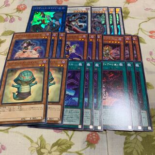 レプティレス・エキドゥーナ