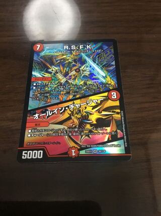 R.S.F.K.｜All-in Charger VR 30/130