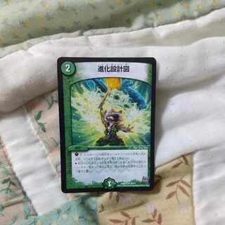 進化設計図 R 25/71