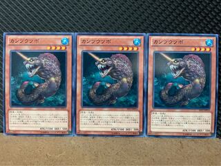 【ぽぽたん】遊戯王 9125 カンツウツボ 3枚 ノーマル