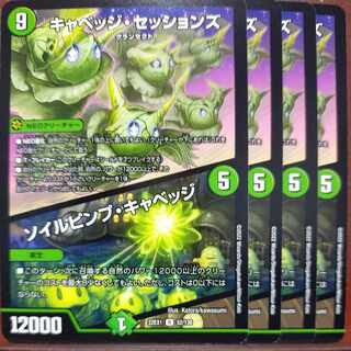 2022セット割引　キャベッジ・セッションズ｜ソイルピンプ・キャベッジ R 52/130