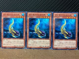 【ぽぽたん】遊戯王 9098 パンサー・シャーク 3枚 ノーマル