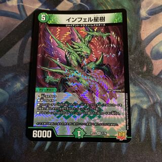 Infelix star tree (species of sedge, Infelix infelix)