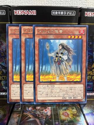 遊戯王スタジオ 1252 不知火の隠者 レア3枚