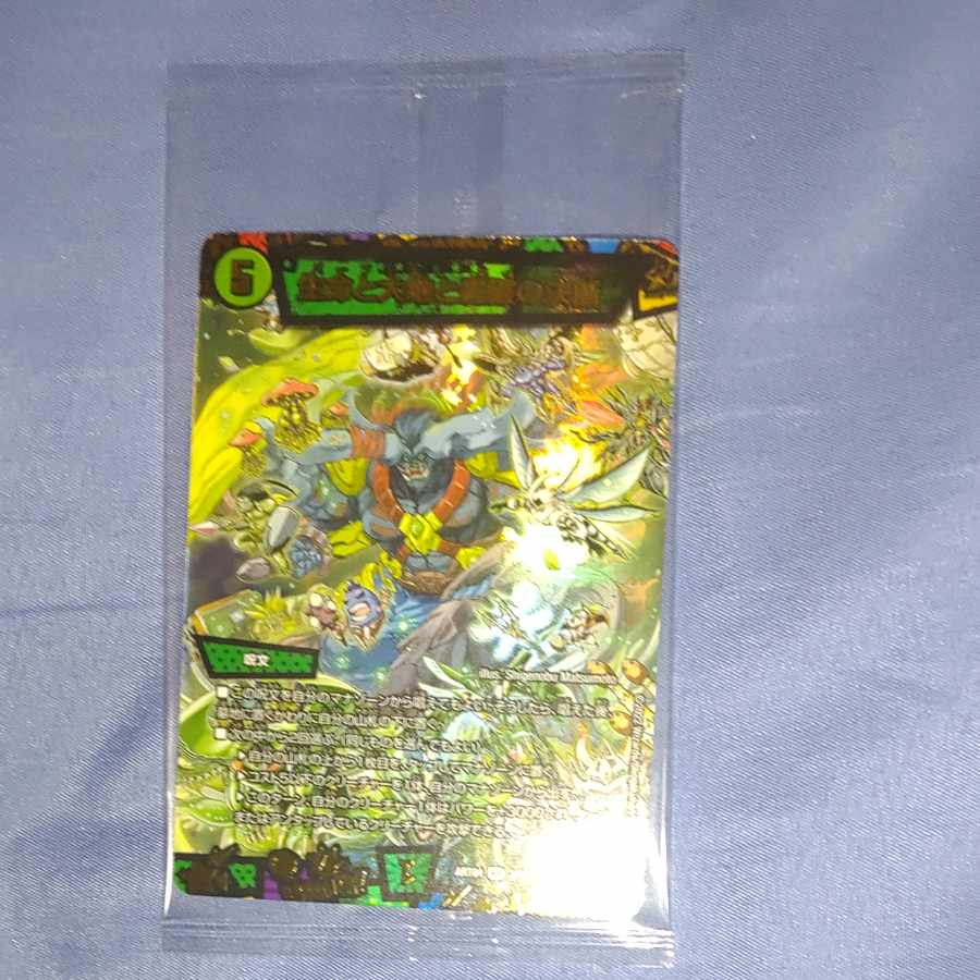 Life Life, Earth and Roaring Decision SR S12/S12