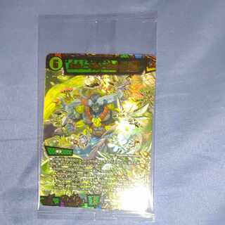 Life Life, Earth and Roaring Decision SR S12/S12