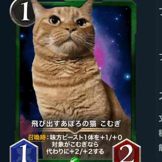 ２枚　飛び出すあぽろの猫 こむぎ