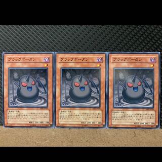 ブラックポータン