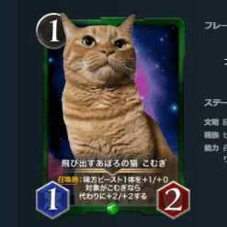 2枚セット　飛び出すあぽろの猫 こむぎ