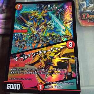 Exclusive set discount R.S.F.K.｜All-in charger VR 30/130