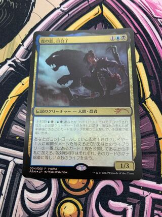 Yuriko, the Tiger's Shadow