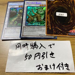 ナチュル・ビースト 英語　シークレット　22890