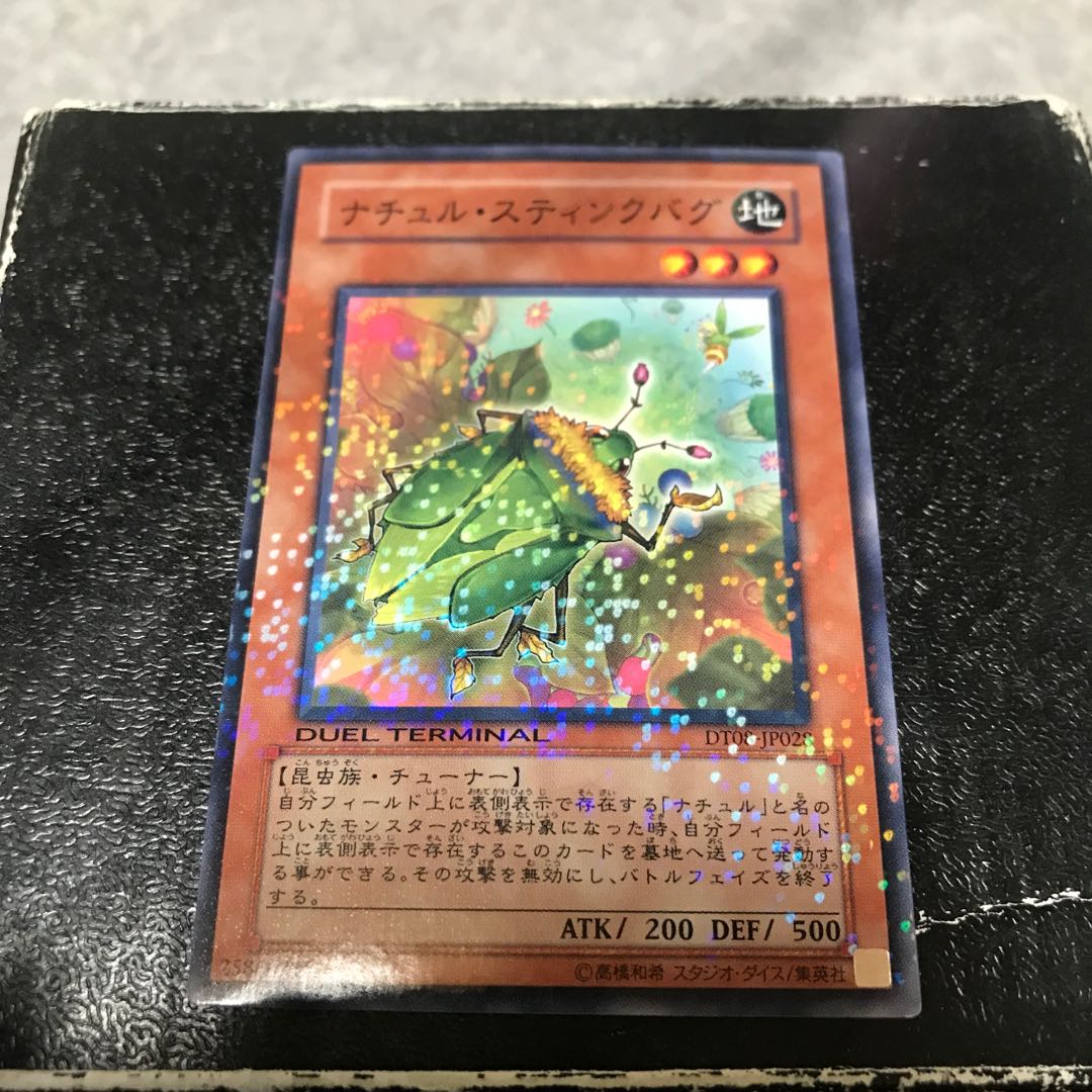 Naturia Stinkbug Normal JP028