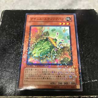 Naturia Stinkbug Normal JP028