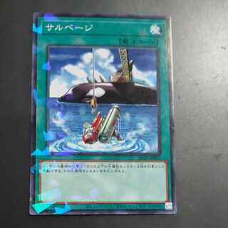 サルベージ パラレル ノーマル JP031　【木林堂】