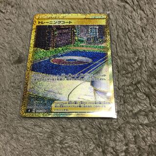 Pokémon Card Training Court