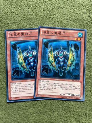 Atlantean Heavy Infantry Normal JP004 2