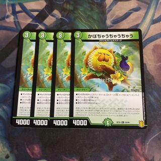 4 pieces of kabocha ucha ucha ucha