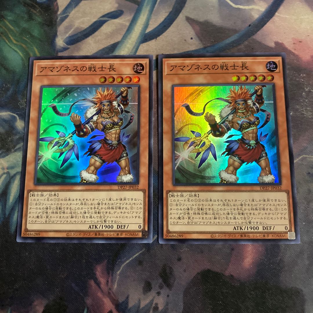 2 Warrior Chiefs of Amazones