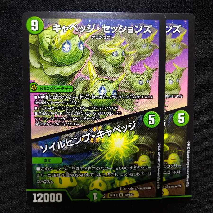 キャベッジ・セッションズ｜ソイルピンプ・キャベッジ R 52/130