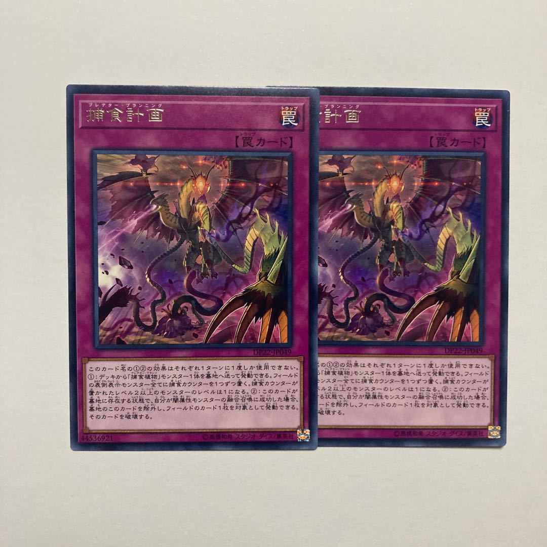 Predaplanning Rare JP049