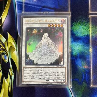 Garden Rose Maiden Ultra Rare JP023