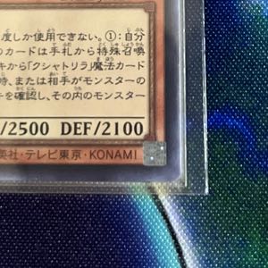 Exclusive for Mr. Potato Kshatrira Unicorn Super Rare JP013