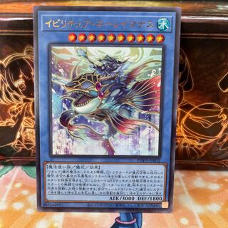 No.1301 P shop Ibiritua Neleimanas [Ur].