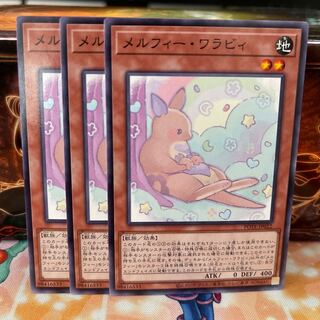 No.1312 P Shop Melfi Wallaby [no