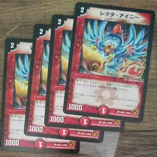 Lecter Ainy (normal) C 50/55