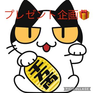 Part1ちゃま袋福袋オリパ Part2ちゃま袋謎オリパ購入者限定【〜終了〜】