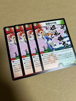 蒼龍の大地 R 74/100