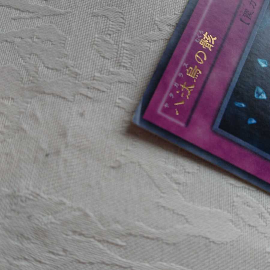 八汰烏と八汰烏の骸 1枚