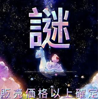 Pokémon Card Mystery Box