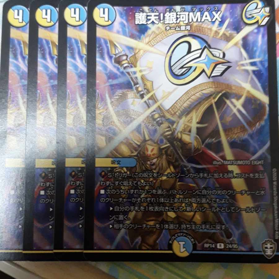 Proten! Ginga MAX R 24/95