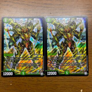 ギガントテキサリス」の激安通販 | magi