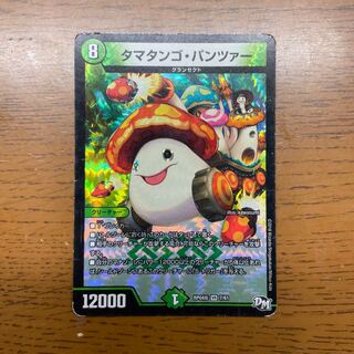 Ta Mushroom Man #2, Panzer VR 7/61