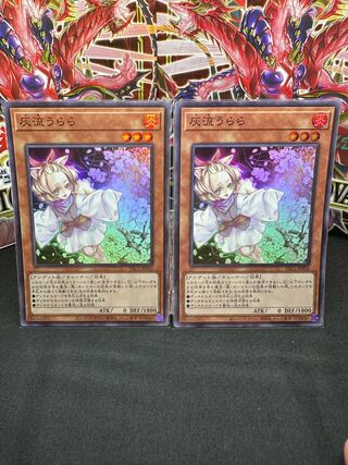 Ash Blossom & Joyous Spring Super Rare JP016