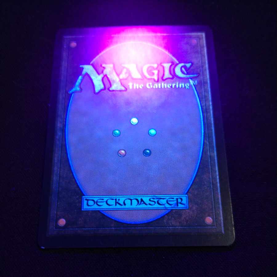 Wasteland / Wasteland Tempest Japanese version