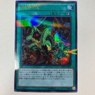 Predaplast Parallel Ultralea JP005