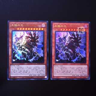 Lord of the Heavenly Prison Ultra 2-card set/Managed by MY0566