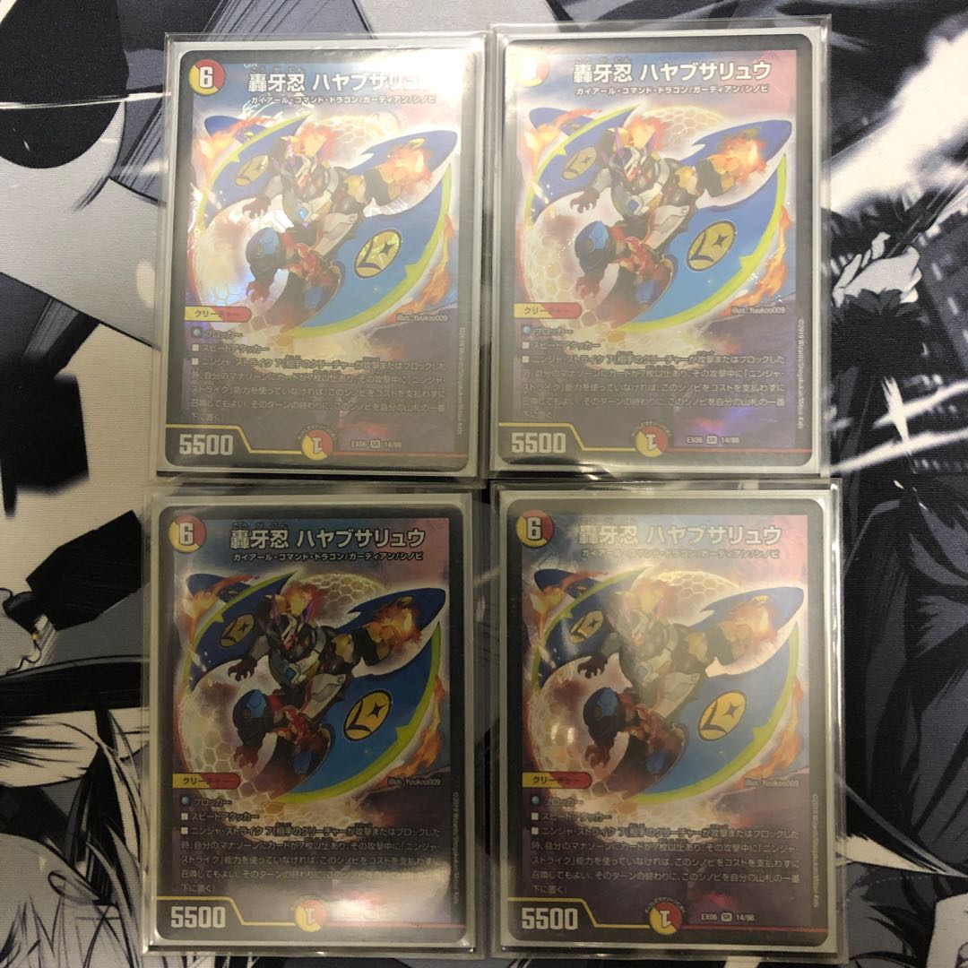 tks様専用 ハヤブサリュウ2枚