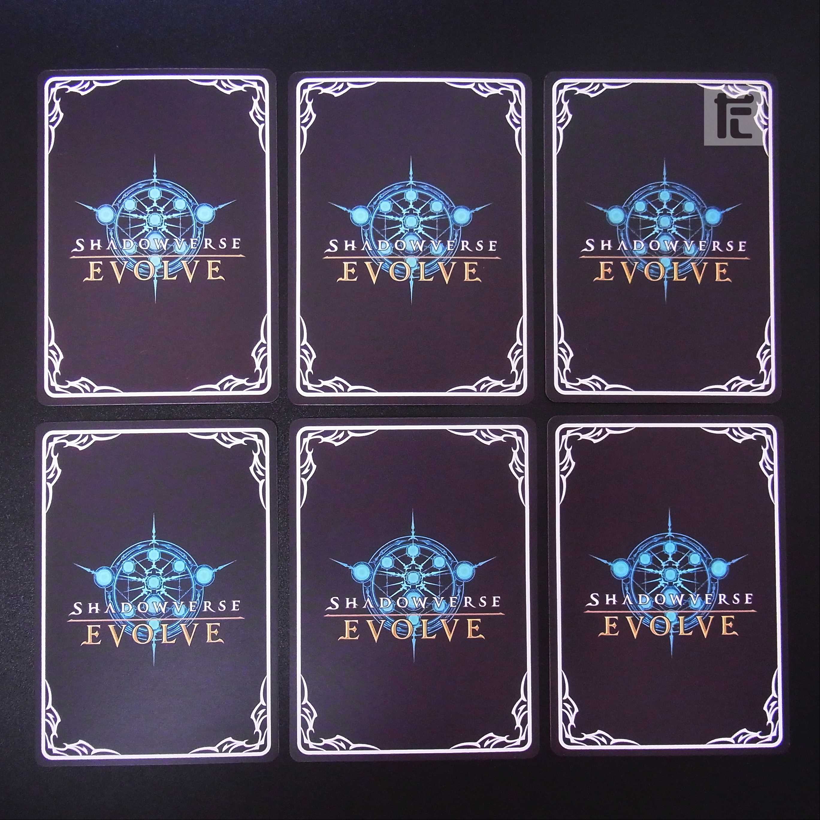 Silence Suzuka LG 6-piece set / Management:MS0183