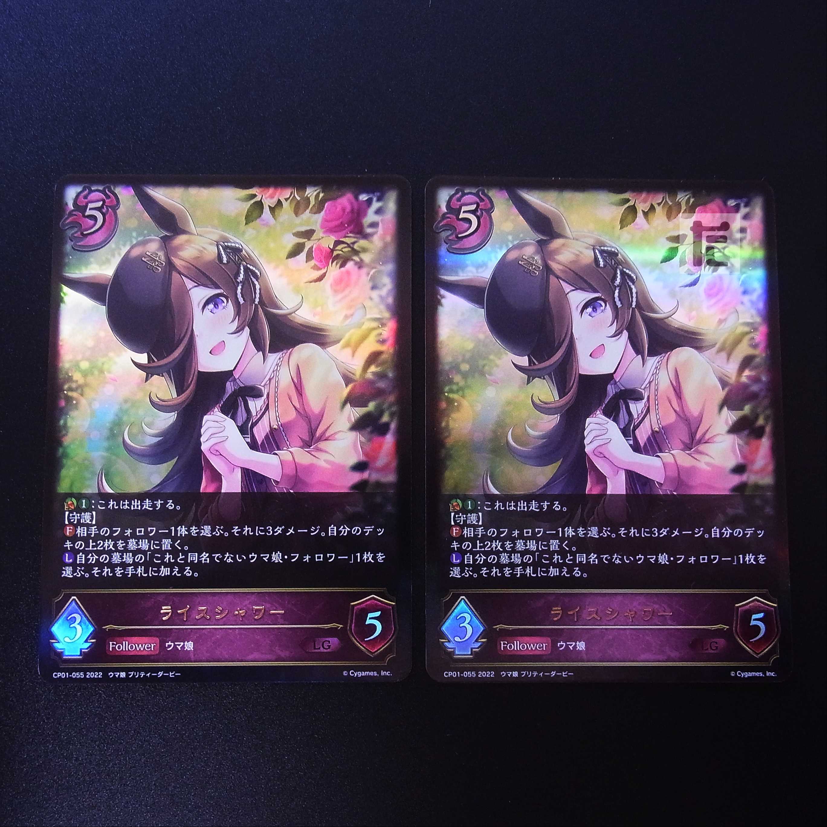 Rice Shower LG 2-Piece Set /Manufacture:MS0180