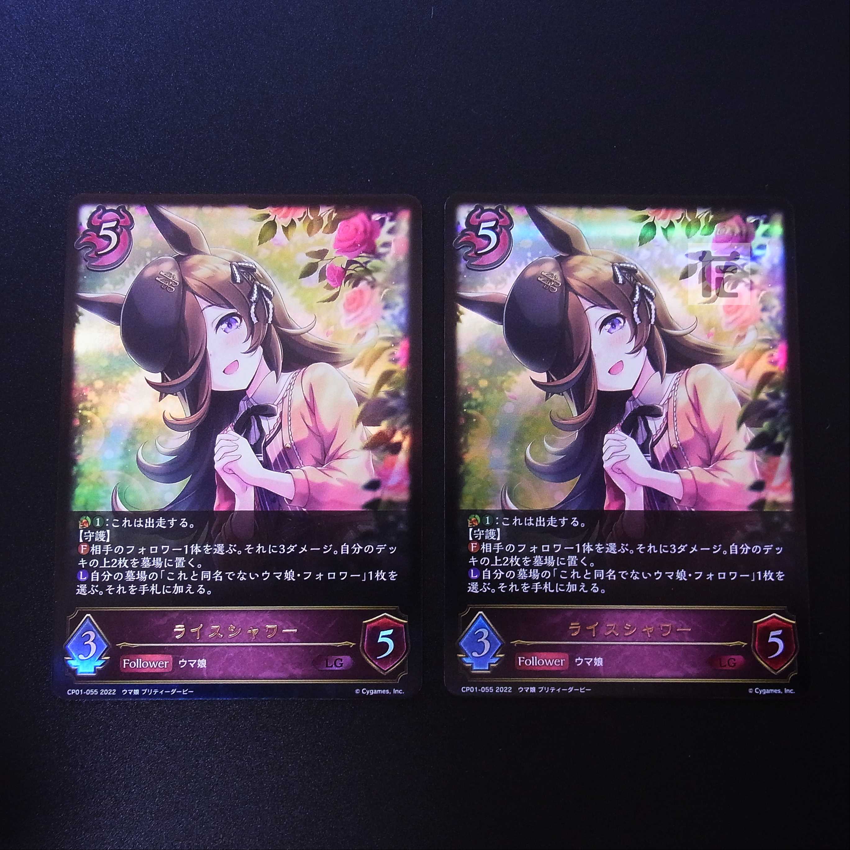 Rice Shower LG 2-Piece Set / Management:MS0179