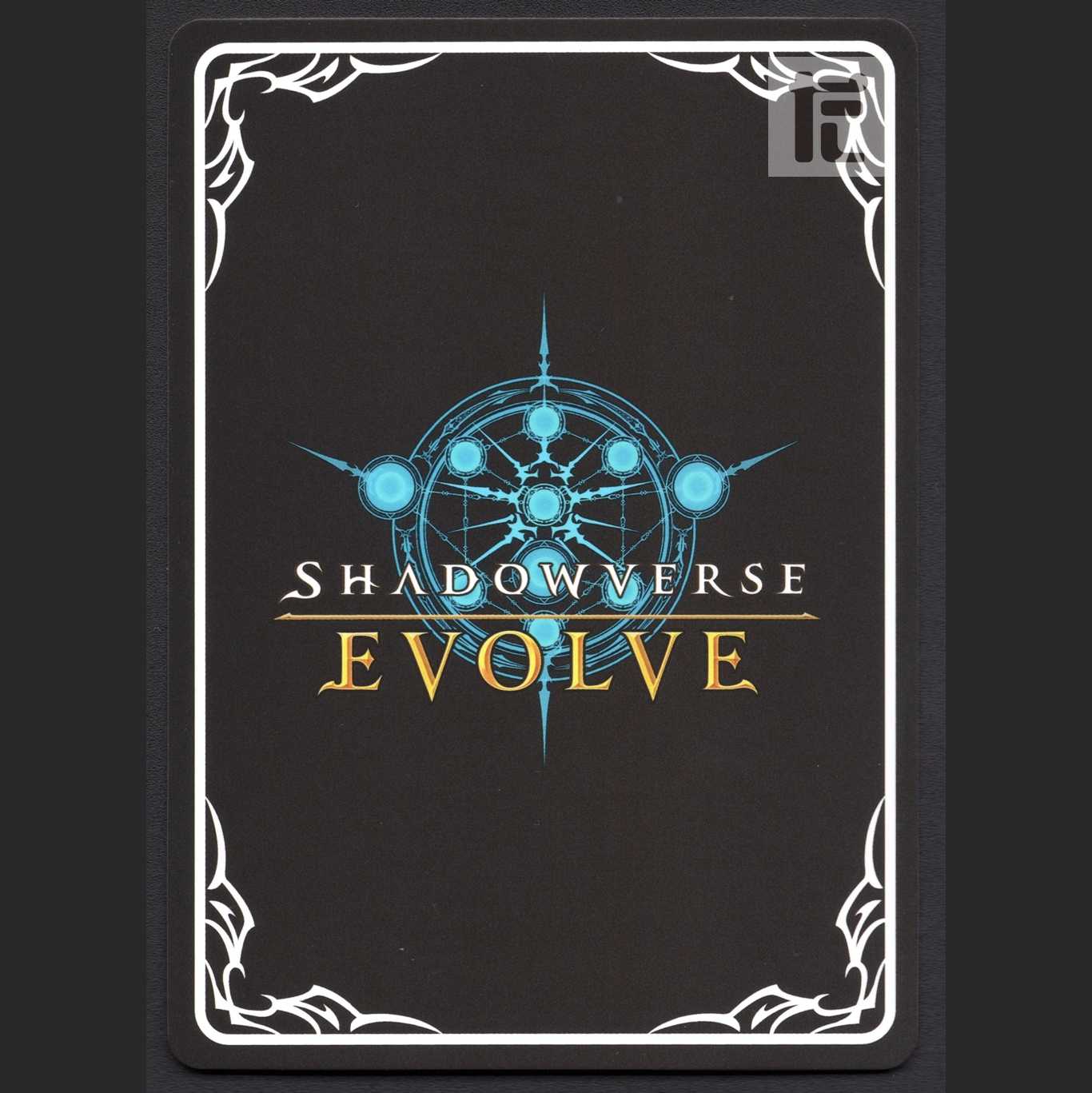 ライスシャワー【ニア】SL/管理:MS0185