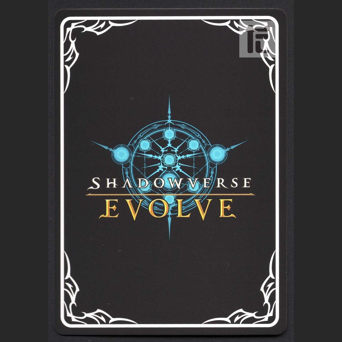 オグリキャップ【ニア】SL/管理:MS0172