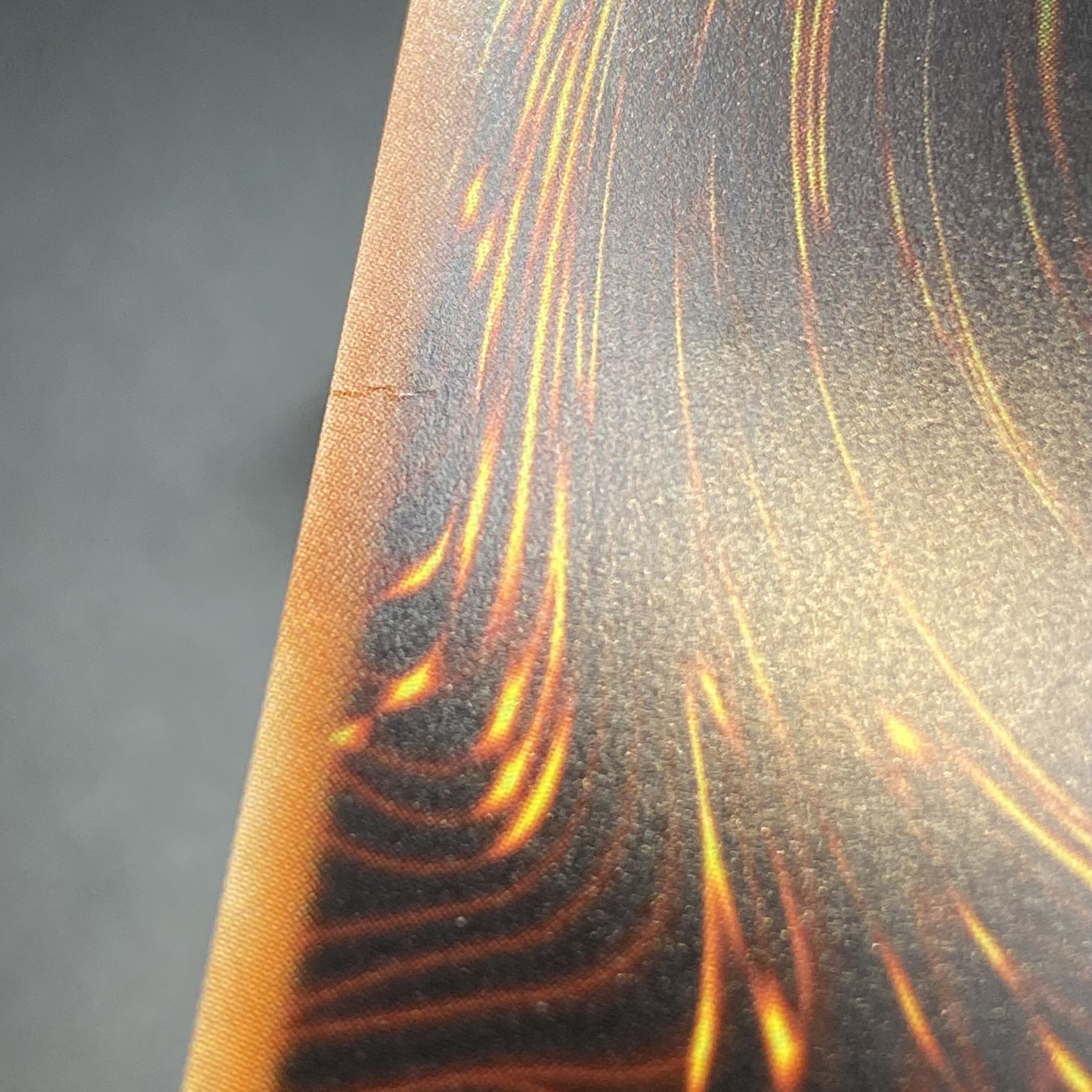 Borreload Savage Dragon 20th Secret Rare SAST-JP037